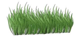 images_035